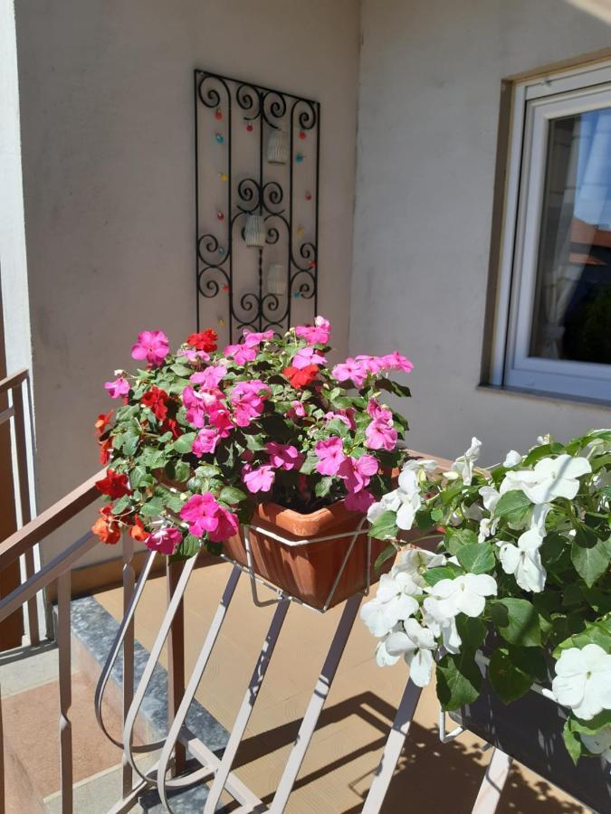 Apartment Jardin With Free Cowered Parking زادار المظهر الخارجي الصورة