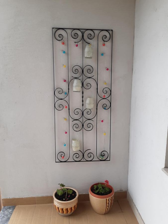 Apartment Jardin With Free Cowered Parking زادار المظهر الخارجي الصورة